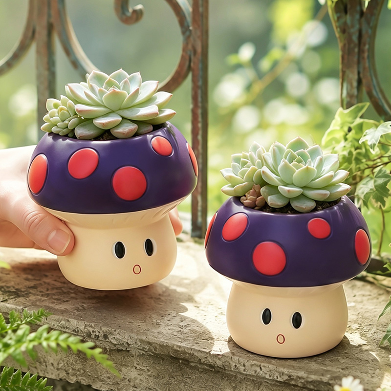 Schattige cartoon-paddenstoel  - Echeveria Succulent recensie en prijs